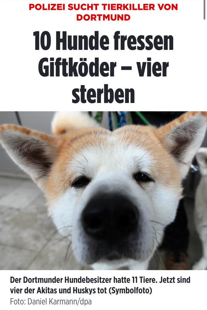 Giftköder-Giftköder-Profilbild