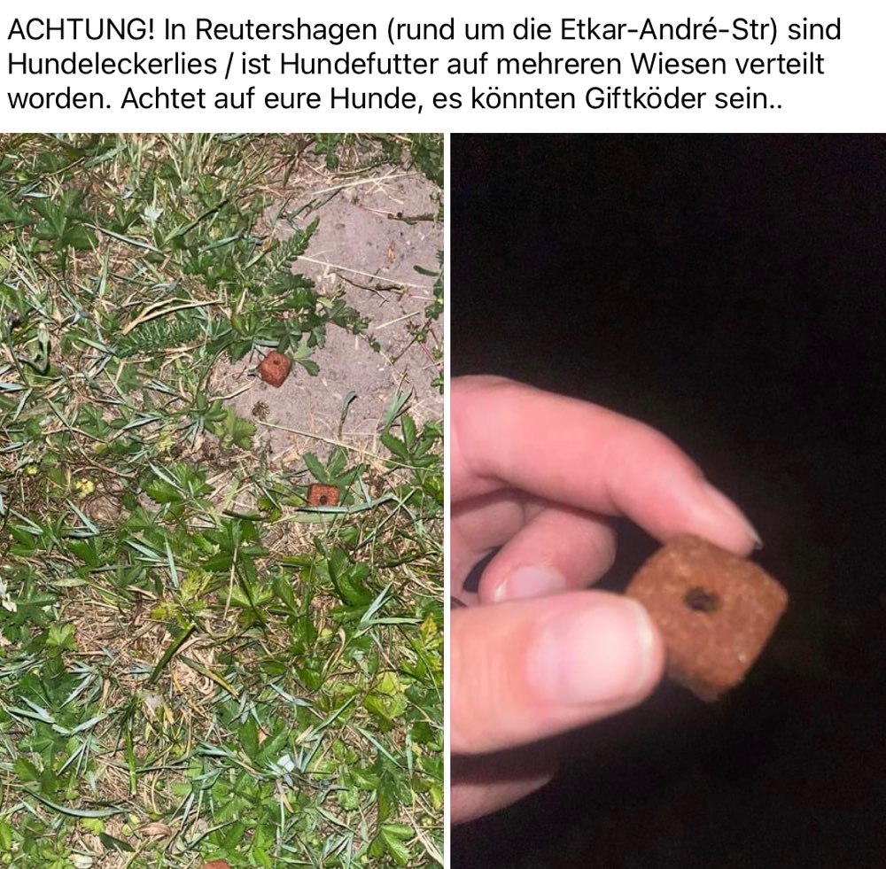 Giftköder-Rund um die Etkar-André-Str liegen Leckerlis aus-Profilbild