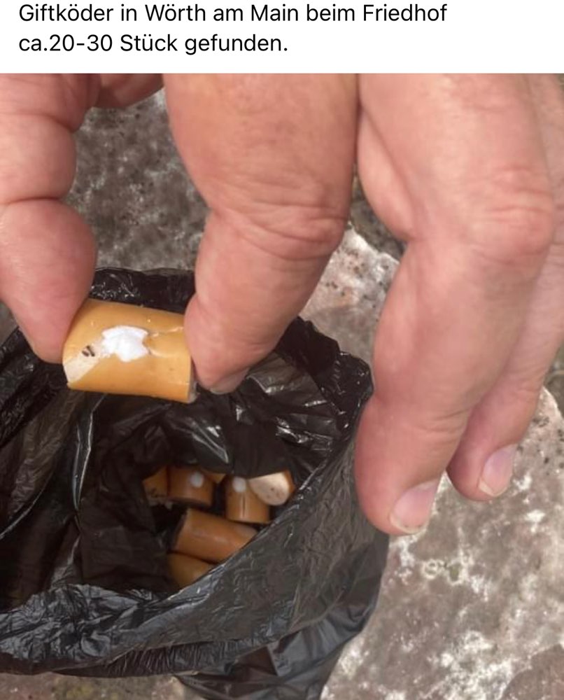 Giftköder-Giftköder am Friedhof-Profilbild