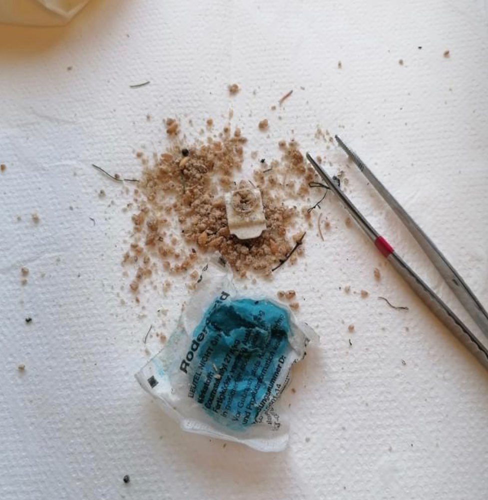 Giftköder-Rattengift am Alten Friedhof in Hanau-Großauheim-Profilbild