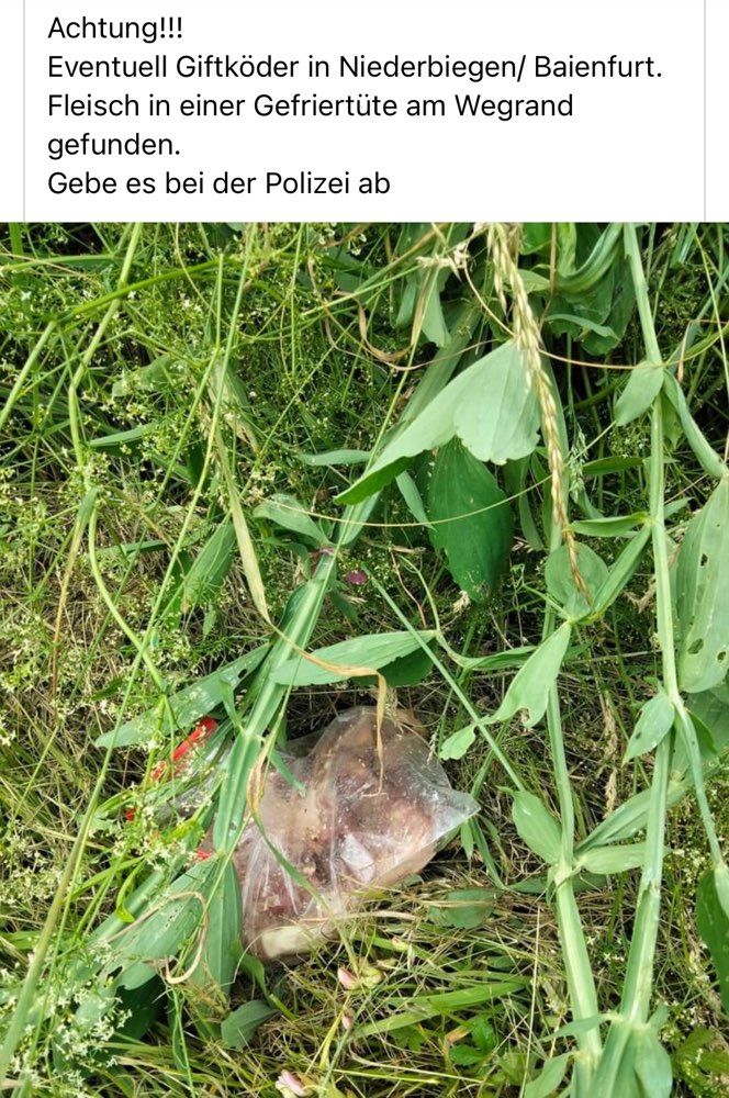 Giftköder-Eventuell Giftköder im Raum Niederbiegen/ Baienfurt-Profilbild