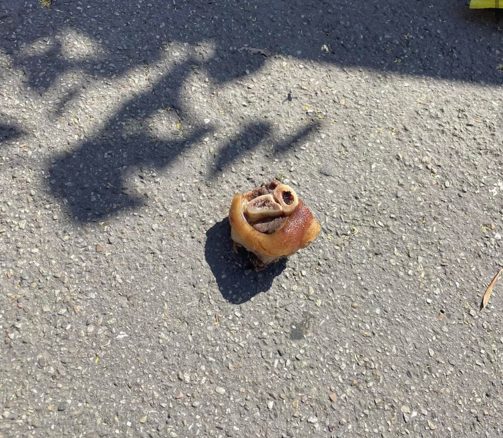 Giftköder-Giftköder - viele ausgelegte "Leckereien"-Profilbild