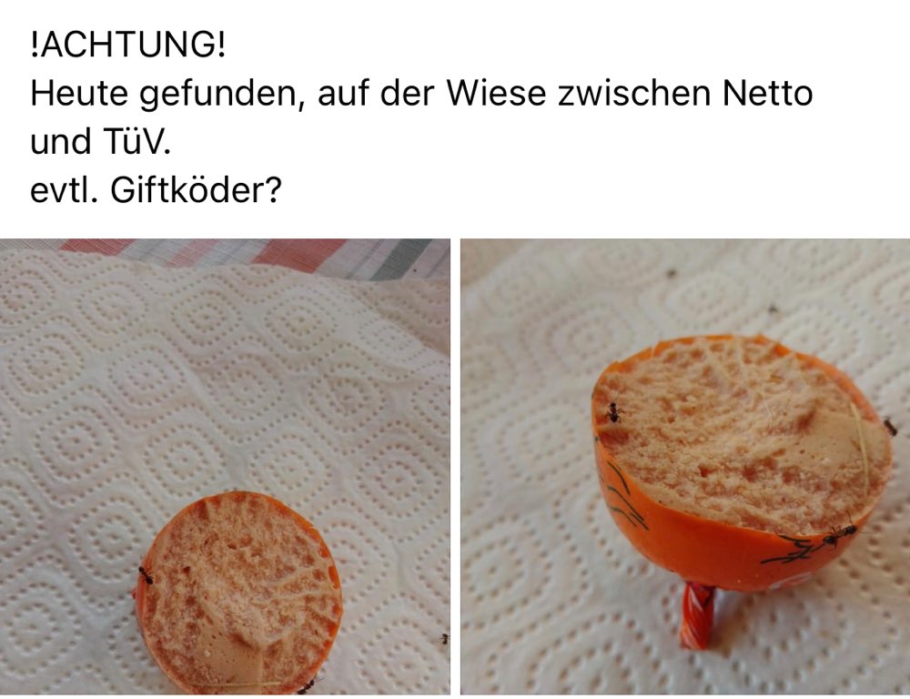 Giftköder-Vermutlich Giftköder in der Nähe Netto Reinheim-Profilbild