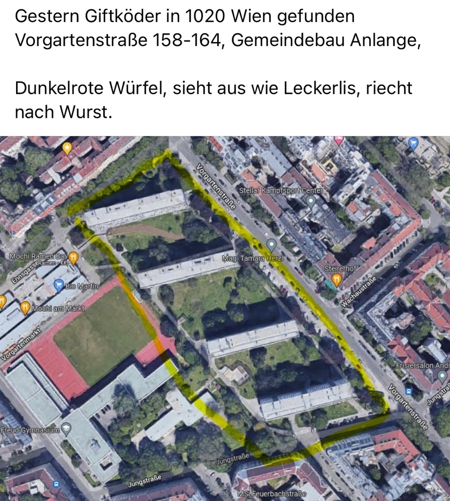 Giftköder-Giftköder- dunkelrote Würfel-Profilbild