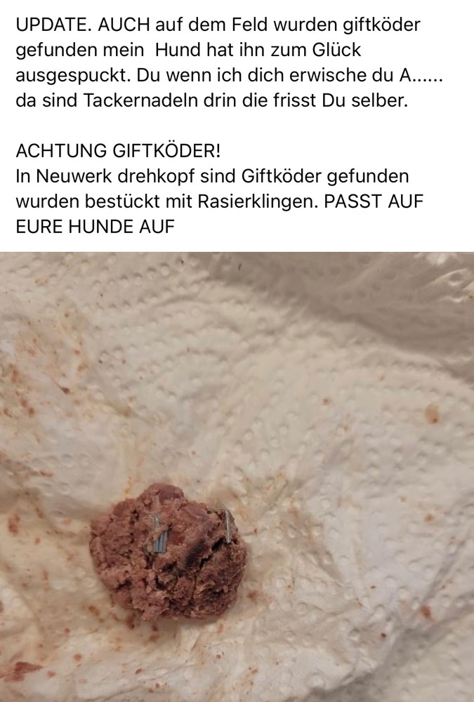 Giftköder-Giftköder mit Rasierklingen-Profilbild