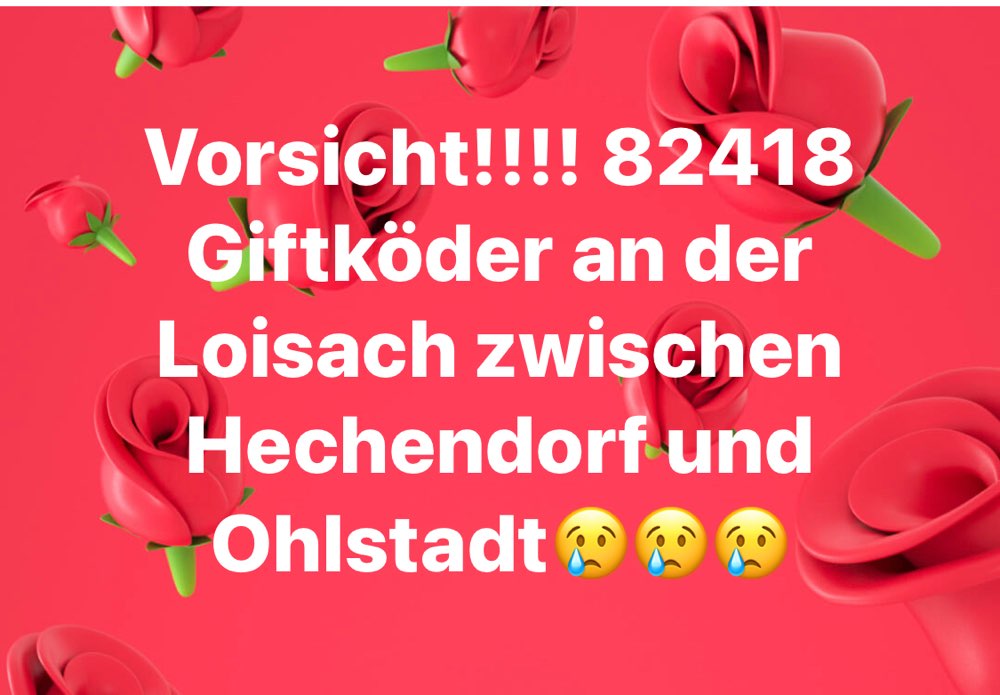 Giftköder-Giftköder-Profilbild