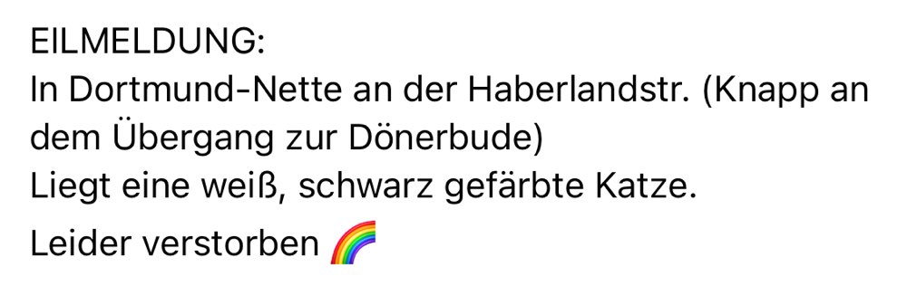 Giftköder-Verstorbene Katze am Wegrand-Profilbild