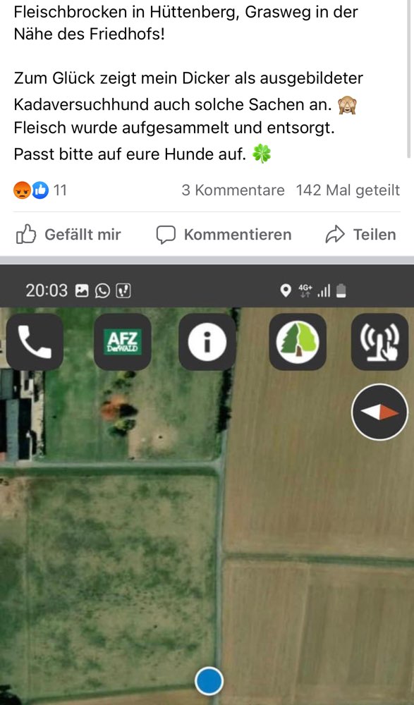 Giftköder-Fleischbrocken-Profilbild