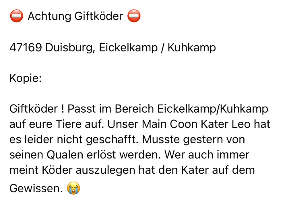 Giftköder-Giftköder-Profilbild