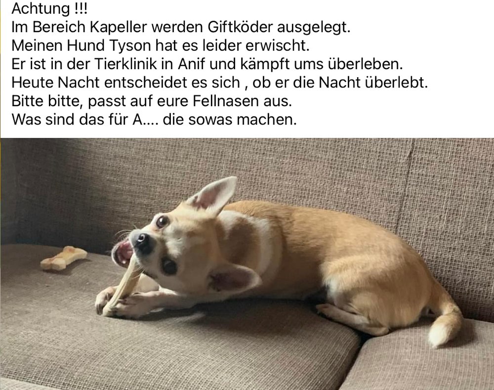 Giftköder-Achtung Giftköder-Profilbild