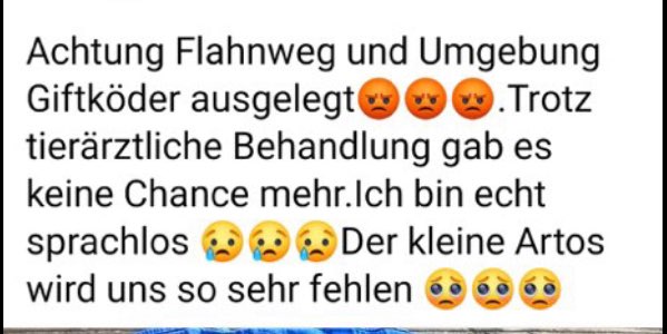Giftköder-Giftköder-Profilbild