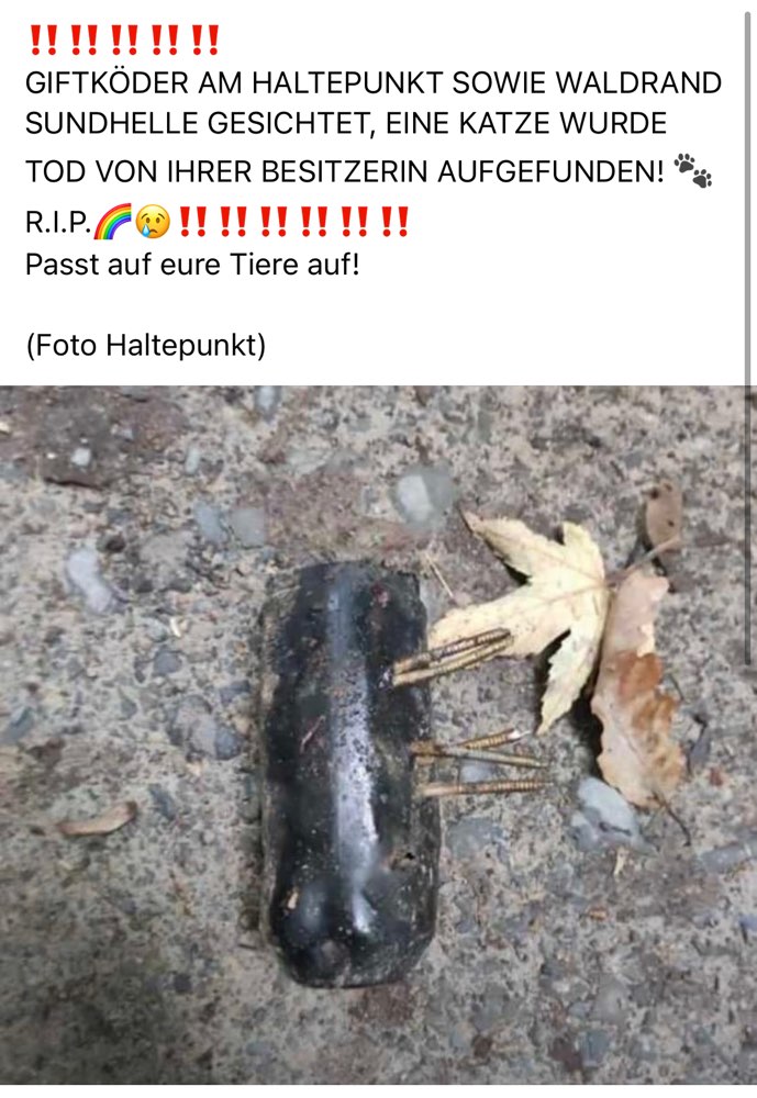 Giftköder-Giftköder (Wurst mit Schrauben)-Profilbild