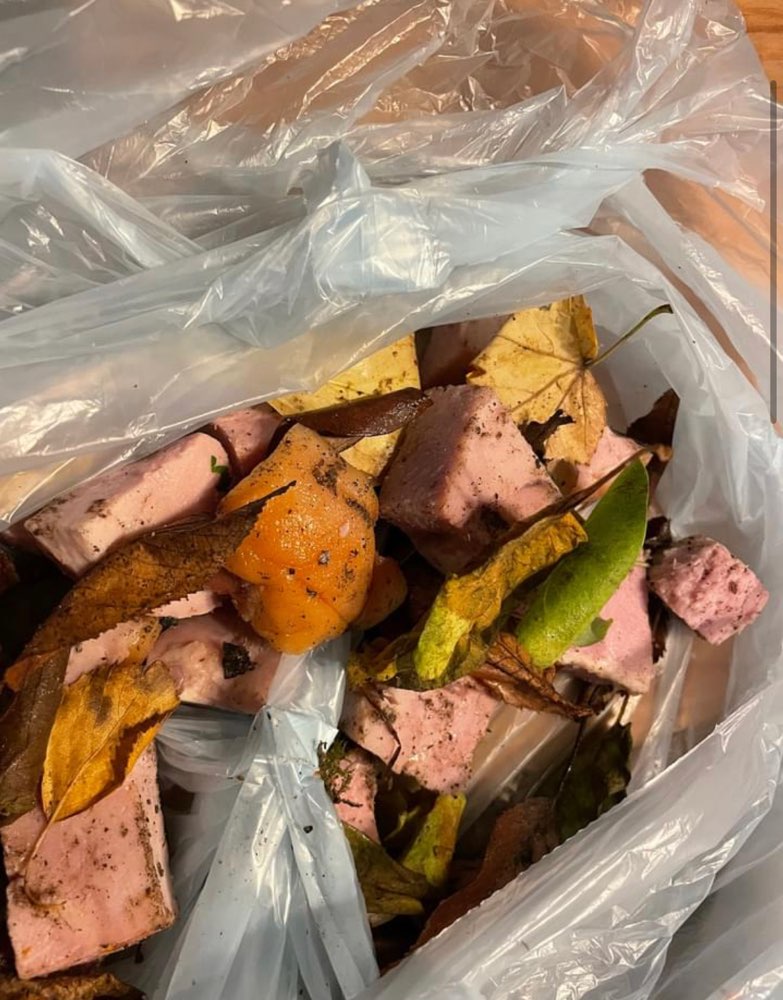 Giftköder-Geschnittenes Kasseler - eventuell präpariert-Profilbild