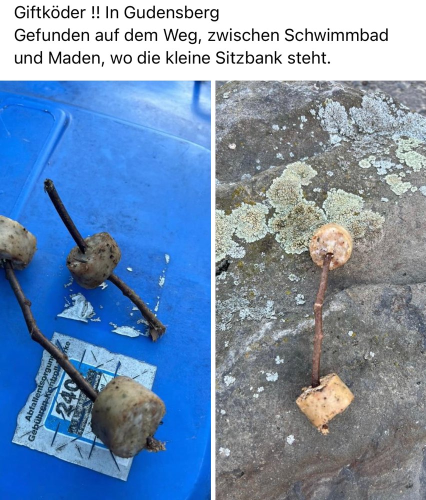 Giftköder-Präparierte Köder für Hunde-Profilbild