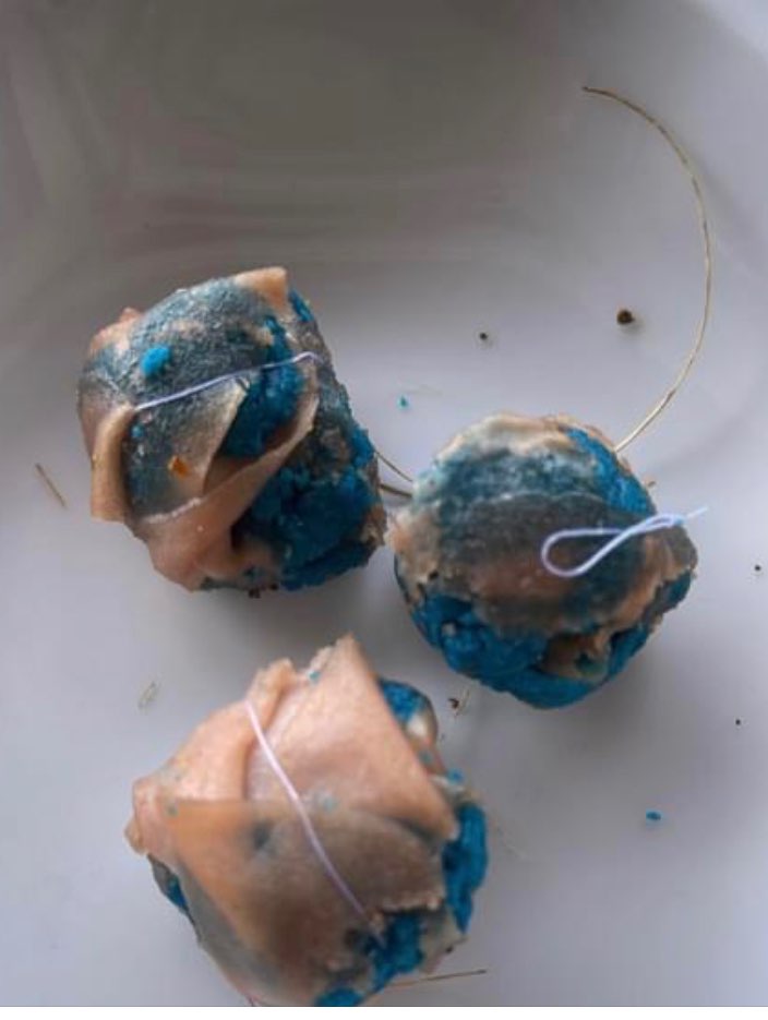 Giftköder-Giftköder in den Garten geworfen-Profilbild