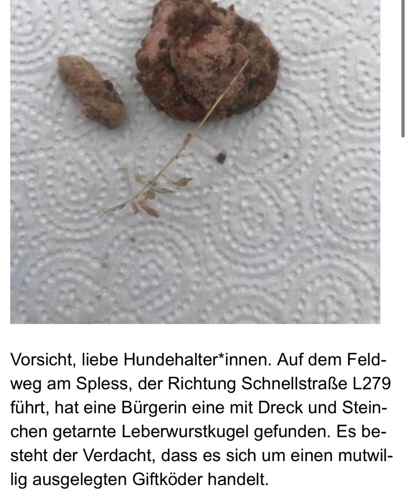 Giftköder-Vermutlich Giftköder am Feldweg Richtung L279-Profilbild
