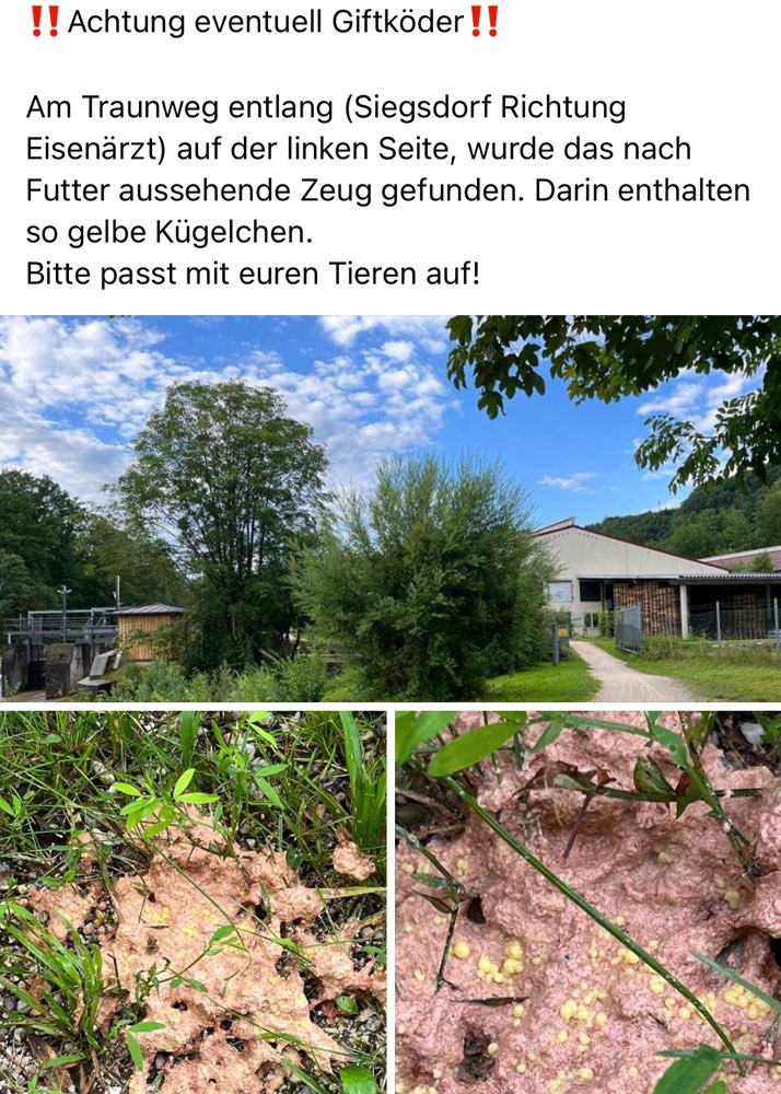 Giftköder-Giftköder-Profilbild