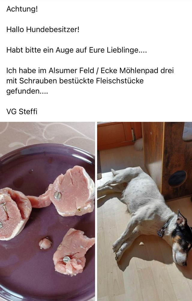 Giftköder-Fleisch mit Schrauben-Profilbild