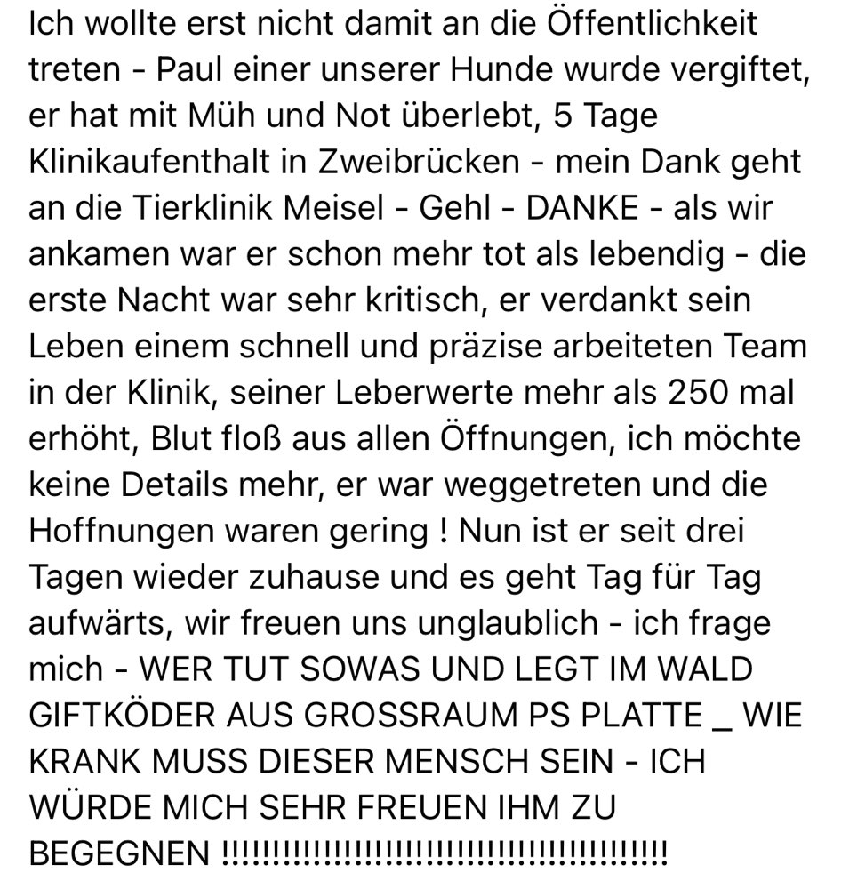 Giftköder-Giftköder im Großraum Pirmasens Platte-Profilbild
