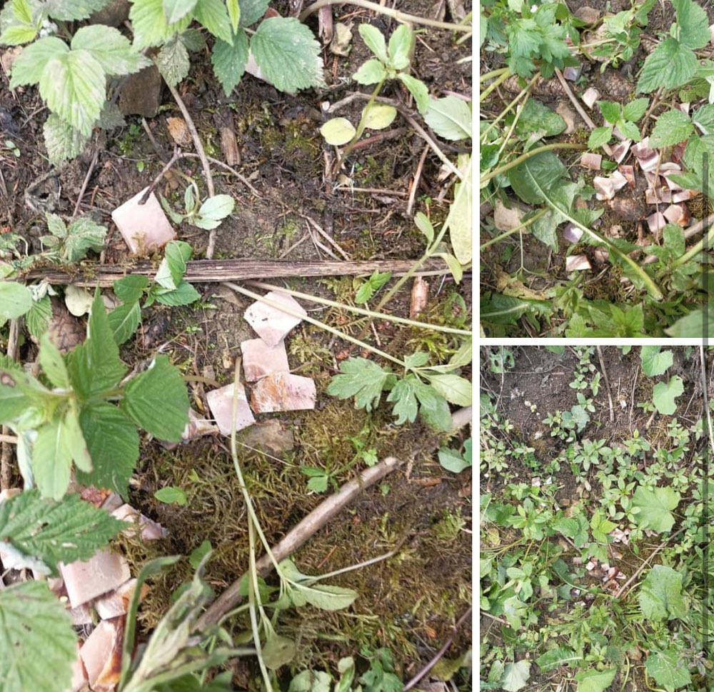 Giftköder-Vermutlich Giftköder verteilt-Profilbild