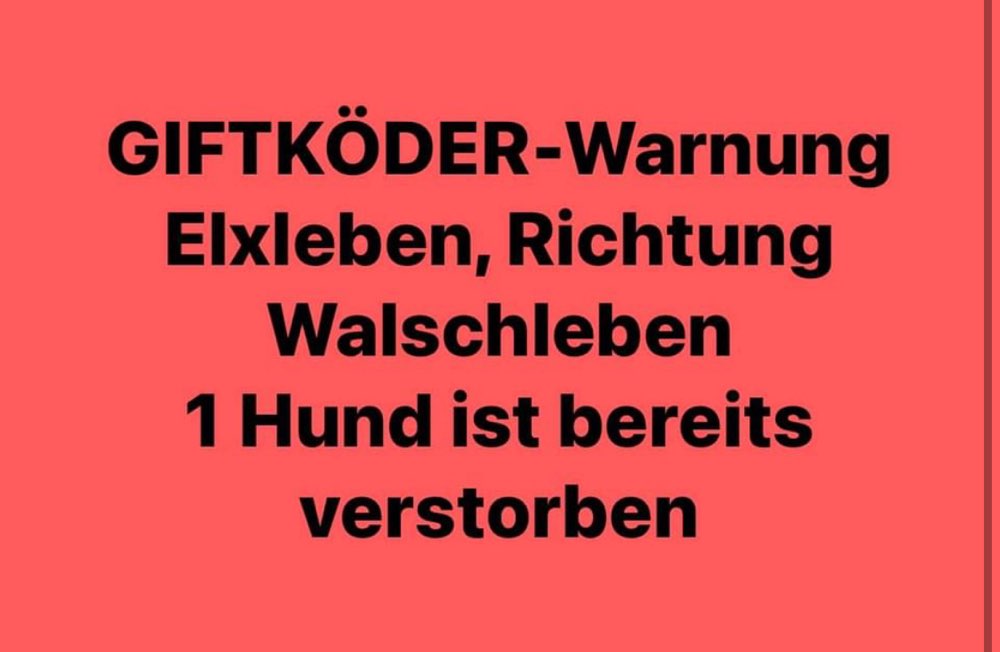 Giftköder-Giftköder-Profilbild