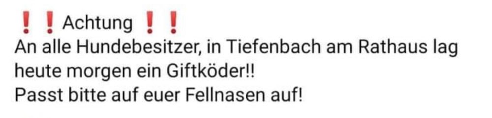 Giftköder-Giftköder am Rathaus gefunden-Profilbild