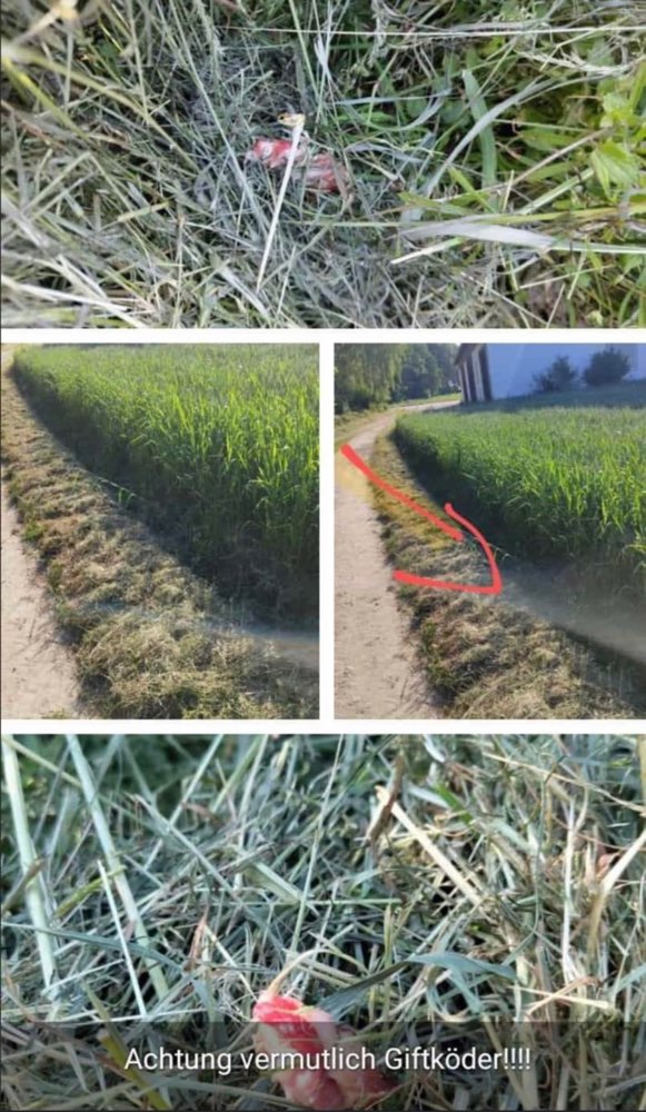 Giftköder-Verdacht auf Giftköder-Profilbild