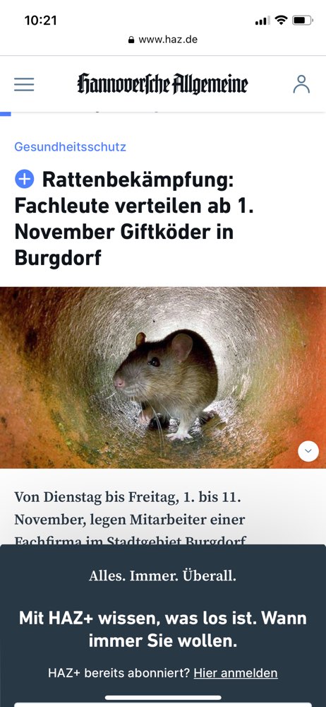 Giftköder-Gezieltes Verteilen von Rattengift-Profilbild
