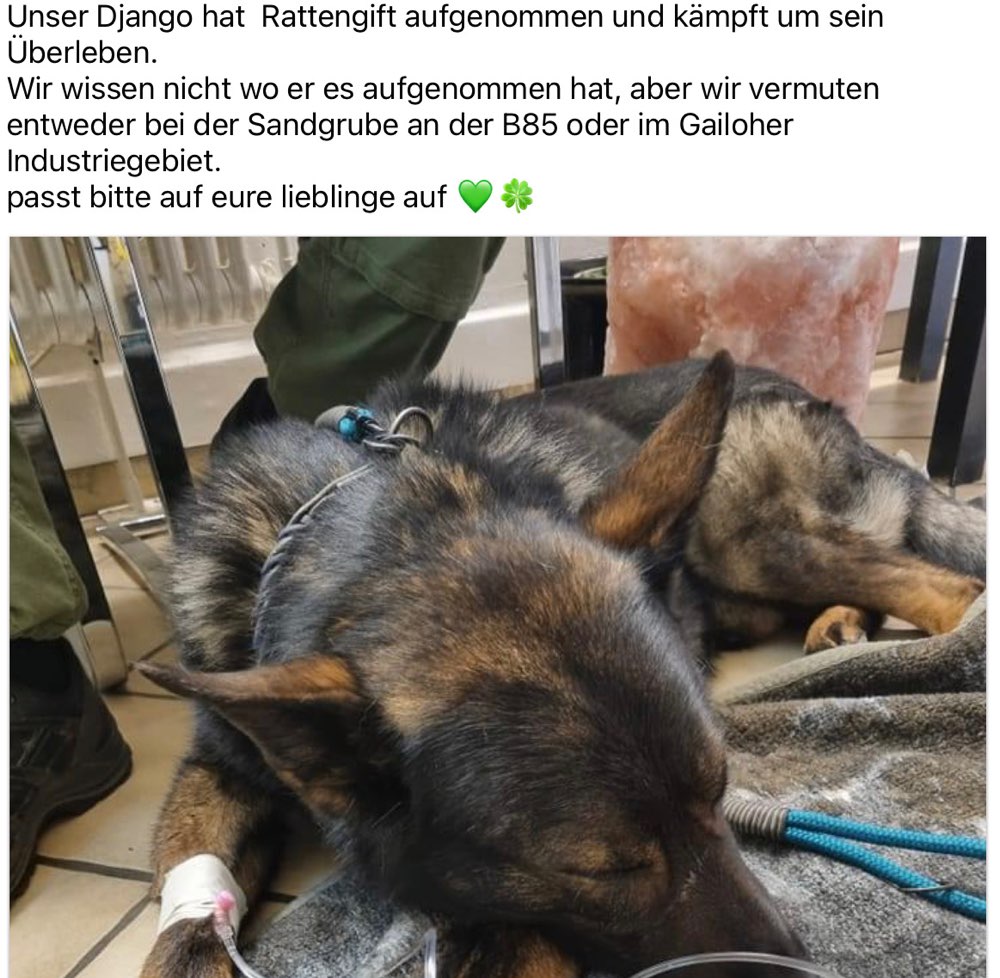 Giftköder-Rattengift-Profilbild