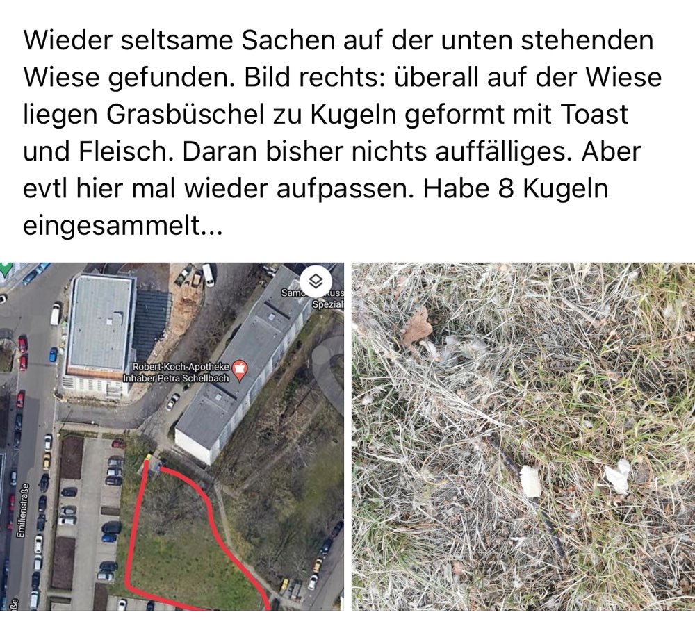 Giftköder-Eventuell Giftköder (geformte Bällchen aus Toast und Fleisch)-Profilbild