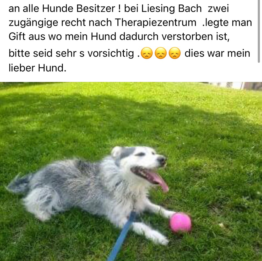 Giftköder-Giftköder in der Nähe des Therapiezentrums-Profilbild