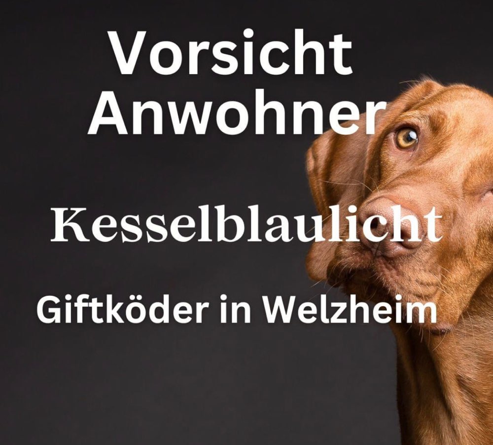 Giftköder-Giftköder in einer Wiese in der Tilsiter Straße-Profilbild