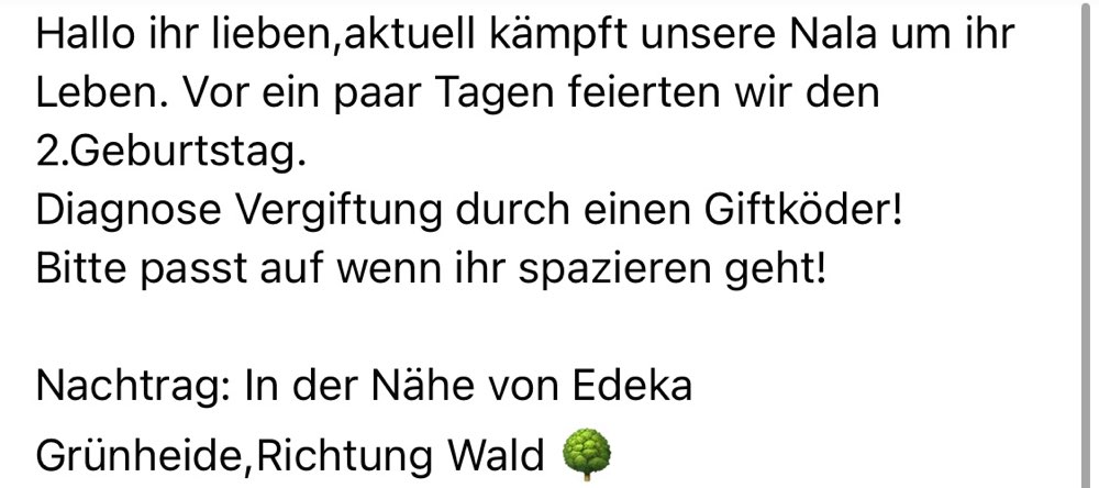Giftköder-Giftköder-Profilbild