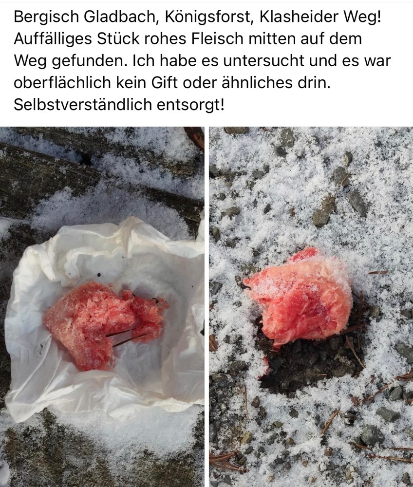 Giftköder-Auffälliges Stück Fleisch auf dem Klasheider Weg-Profilbild