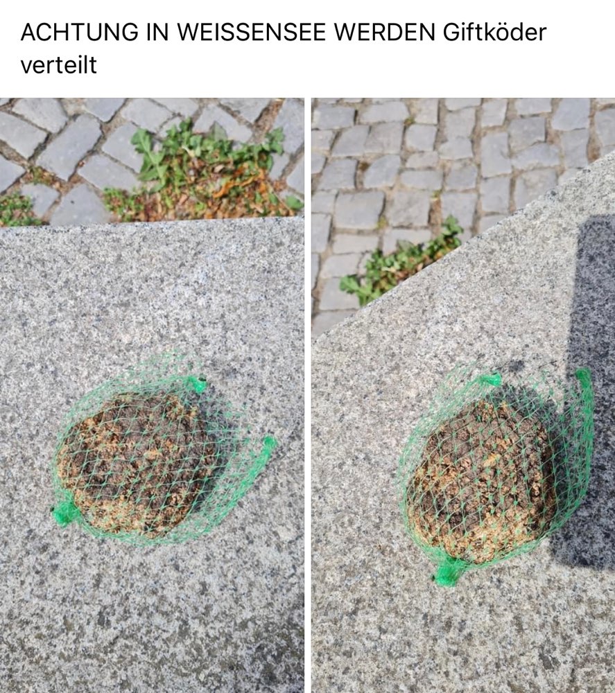 Giftköder-Giftköder in Weißensee-Profilbild