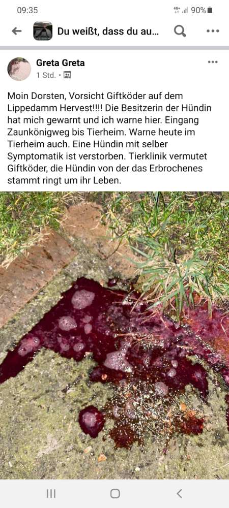Giftköder-Giftköder-Profilbild
