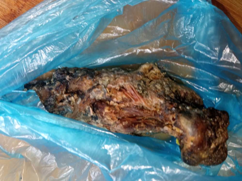 Giftköder-Köder-Profilbild