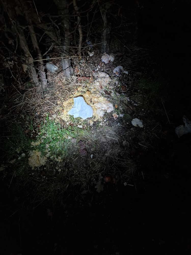 Giftköder-Evtl Giftköder-Profilbild