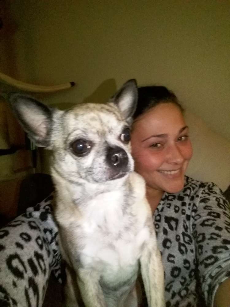 Hundetreffen-Chihuahua treffen 🐶-Profilbild
