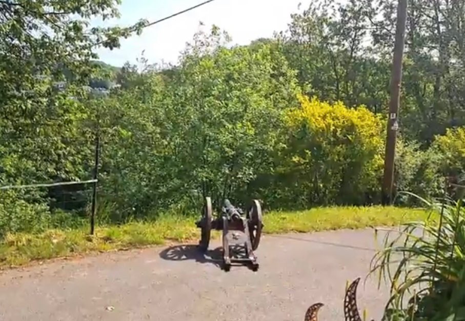 Giftköder-Kanonenschüsse-Profilbild