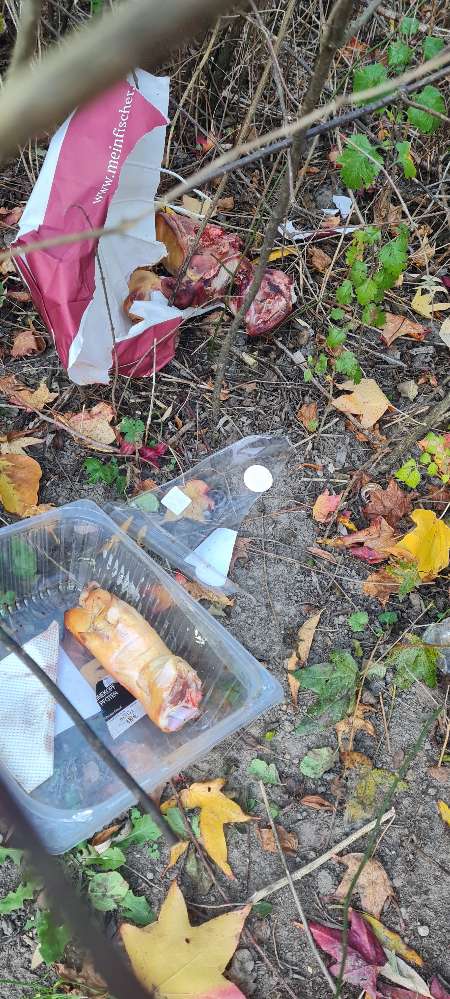 Giftköder-Fleisch, evtl. giftig. Achtung!-Profilbild