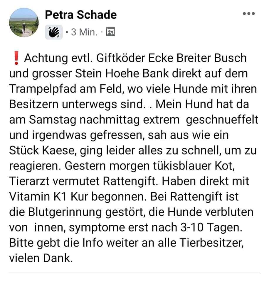 Giftköder-Rattengift-Profilbild