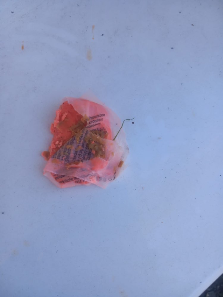 Giftköder-Rattenköder-Profilbild