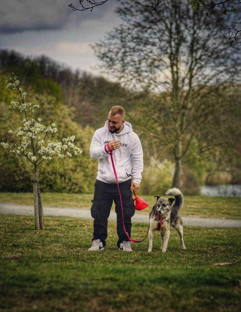 Hundetreffen-Gassi gehen am vienenburger-Profilbild