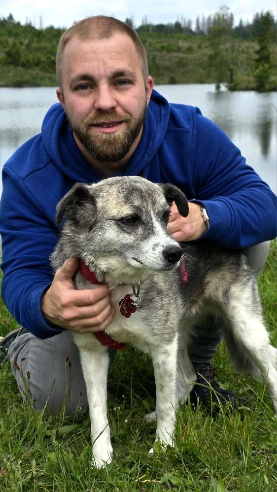 Hundetreffen-Gassi gehen in Harlingerode-Profilbild