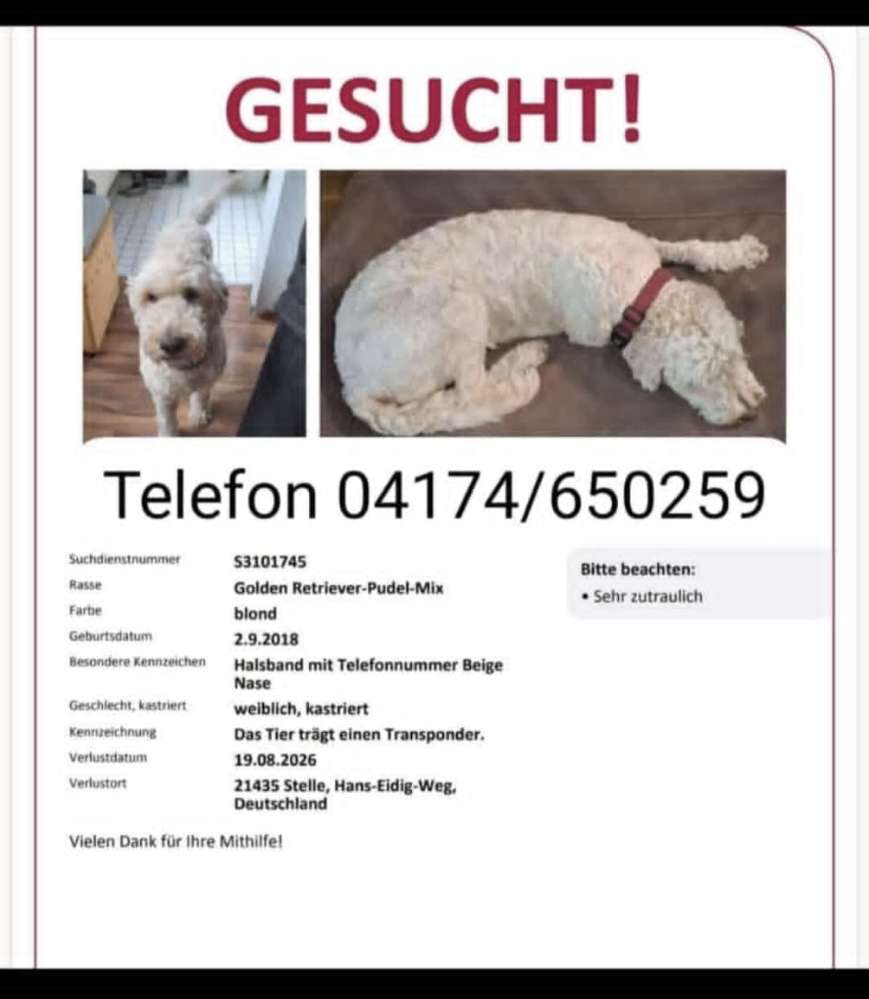 Suchmeldung-Pippa-Profilbild