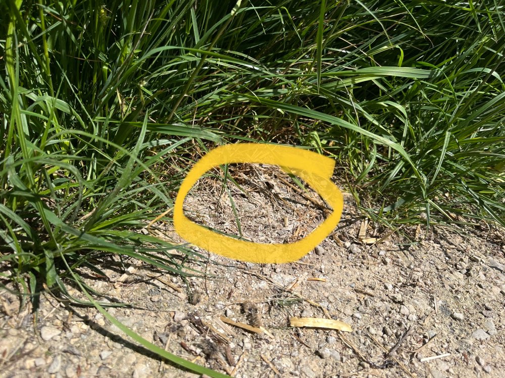 Giftköder-Pulvergemisch-Profilbild