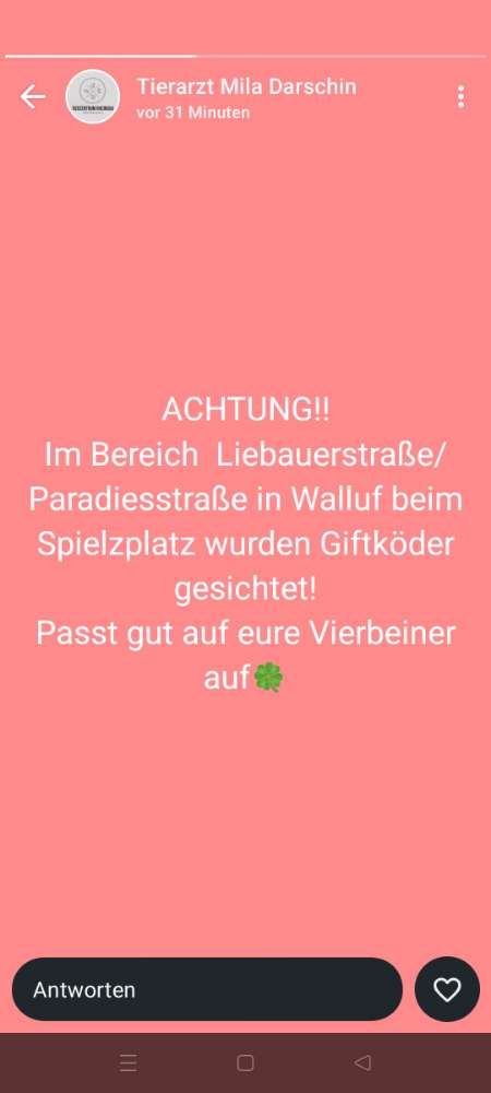 Giftköder-Giftköder-Profilbild