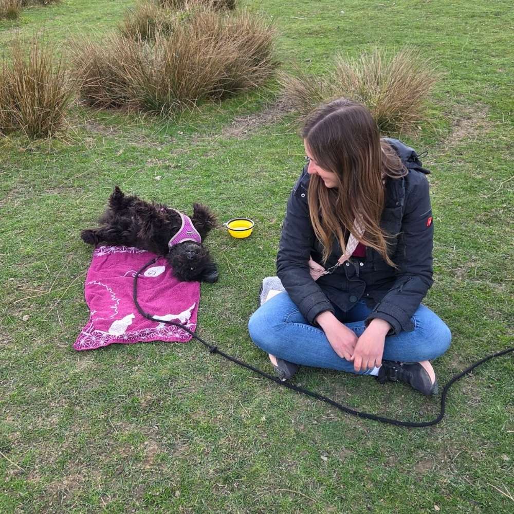 Hundetreffen-Gemütliche Senioren Gassirunde-Profilbild