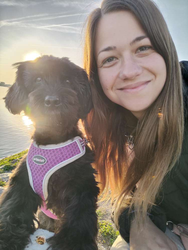 Hundetreffen-Gemeinsame Spaziergänge (kurz)-Profilbild